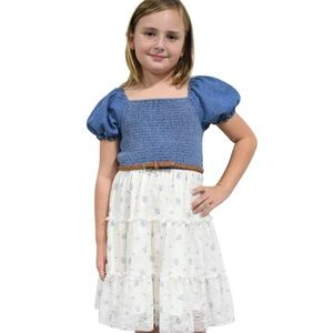 Blue and White Dress with Puff Sleeves